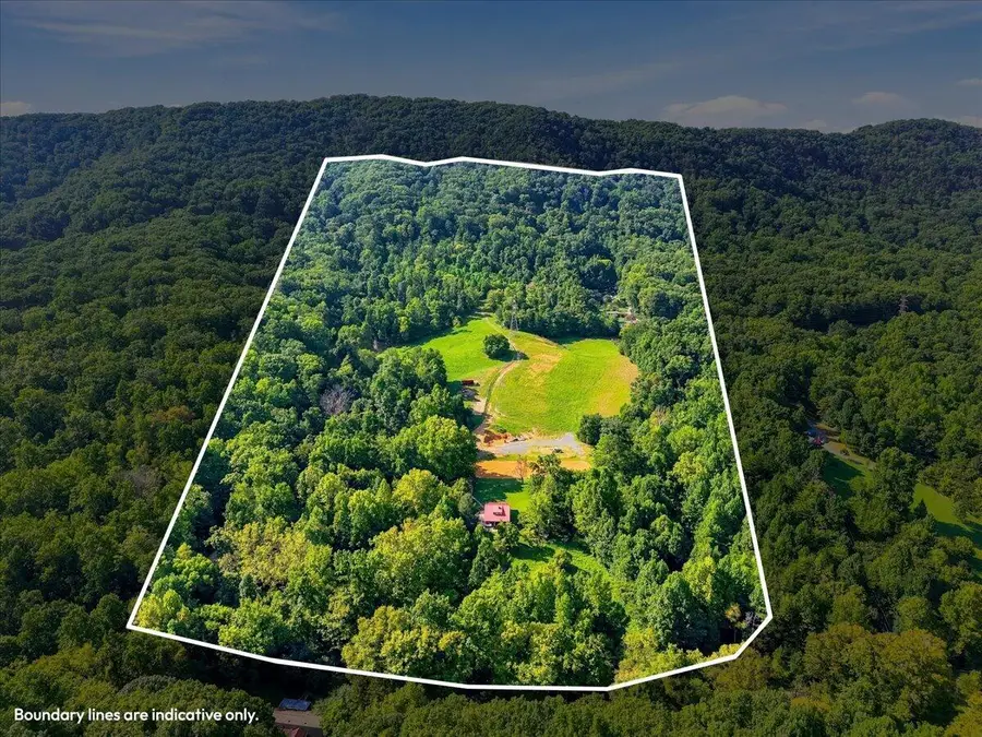 9705 Hogskin Road, Corryton, TN 37721 - #2