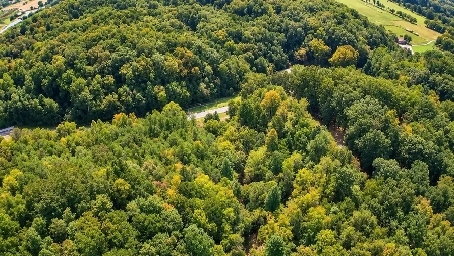 1015 Bewleys Chapel Road, Midway, TN 37809 - #3