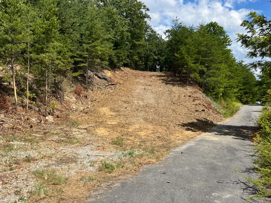 Lot 103E-R Settlers View Lane, Sevierville, TN 37862 - #2