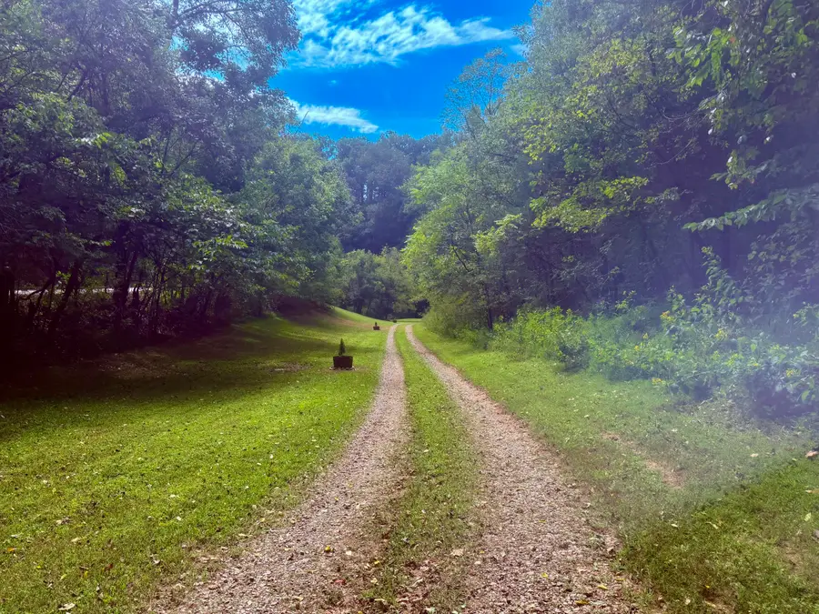 2073 Oven Creek Road, Parrottsville, TN 37843 - #3
