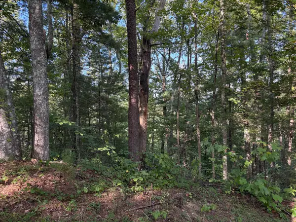 Lot 7 Oakwood Road, Walland, TN 37886
