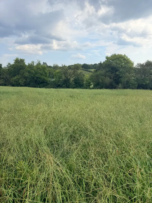 Lot 2 Springvale Road, Morristown, TN 37813