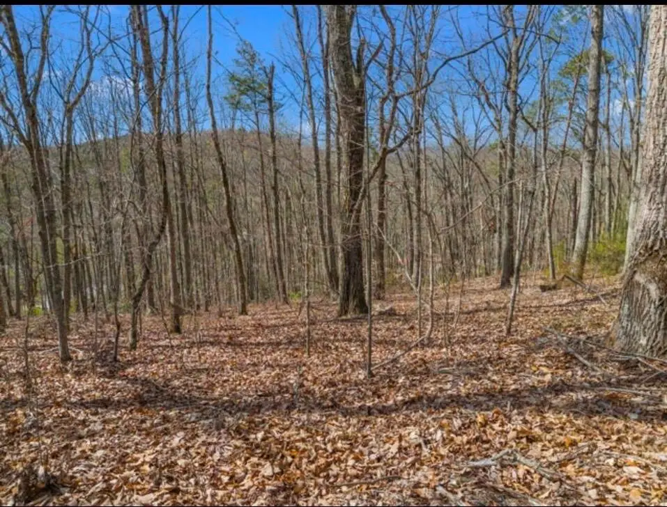 0 Pecan Tree Lane, Newport, TN 37821 - #1