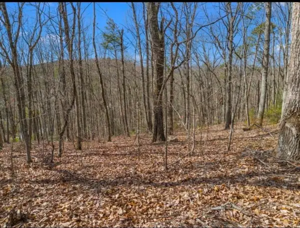 0 Pecan Tree Lane, Newport, TN 37821