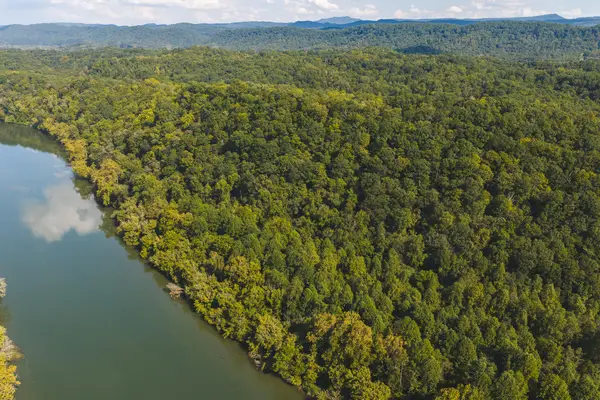 80 Acres Rocky Hollow Road, Rogersville, TN 37857