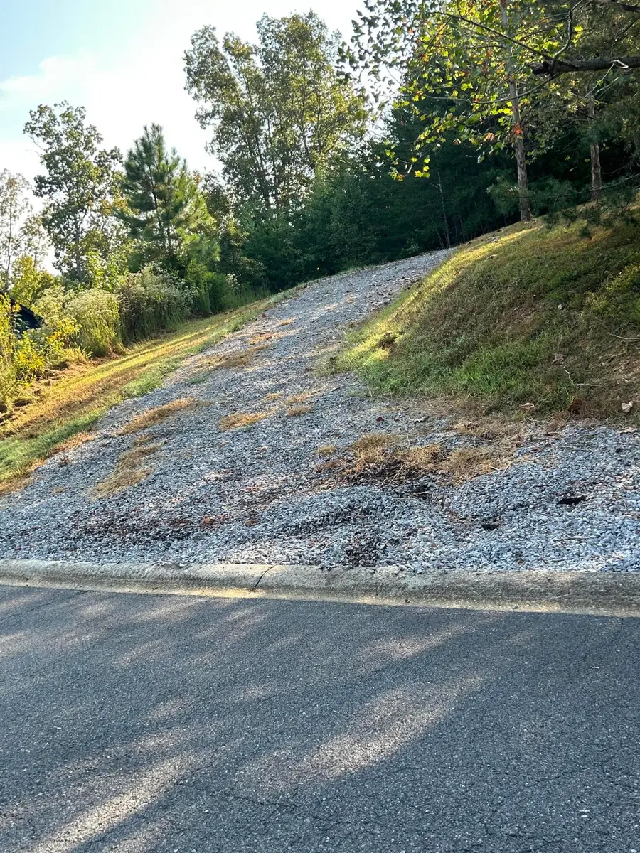 LotS 36&37 Deer Chase, Dandridge, TN 37725 - #3