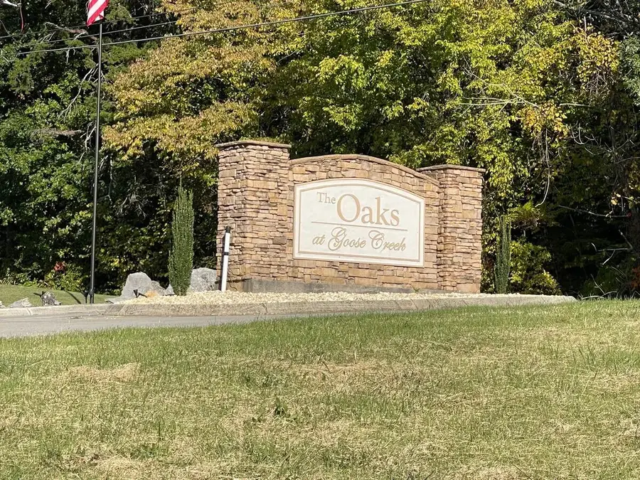 803 Quiet Oaks Way, Dandridge, TN 37725 - #2