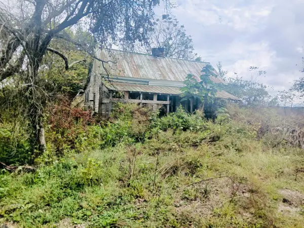 316 Reese Road, Rutledge, TN 37861