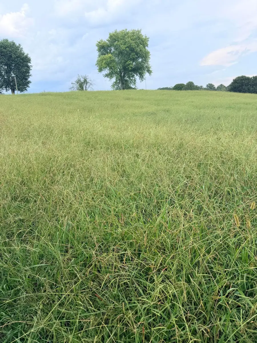 Lot 3 Springvale Road, Morristown, TN 37813 - #2