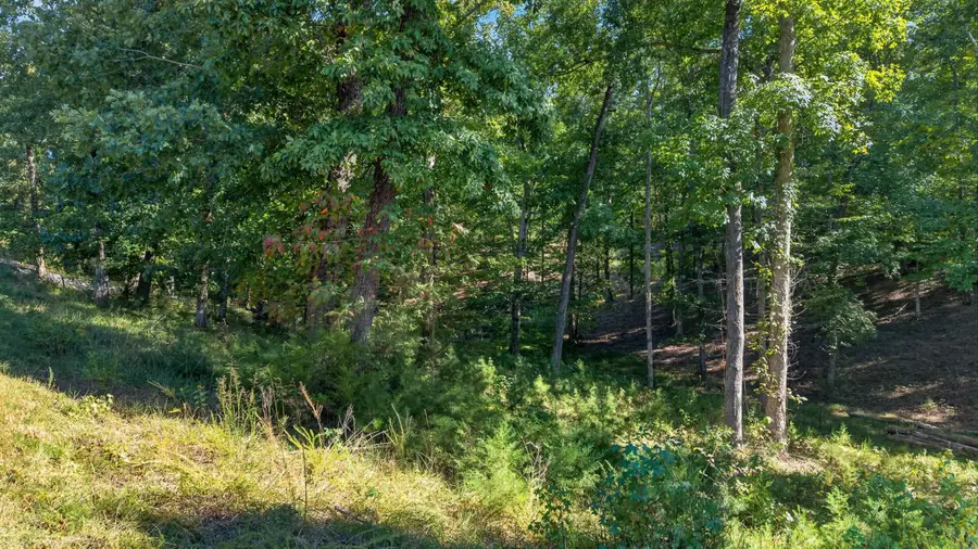 Lot 6 Cypress Drive, Dandridge, TN 37725 - #3