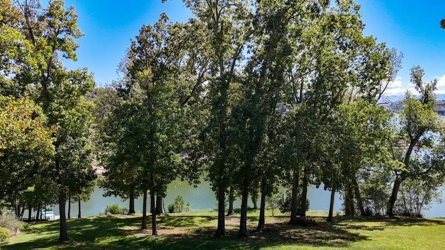 16R Alamo Trail, Dandridge, TN 37725 - #2