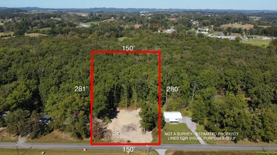 3250 Leadvale Road, White Pine, TN 37890 - #2