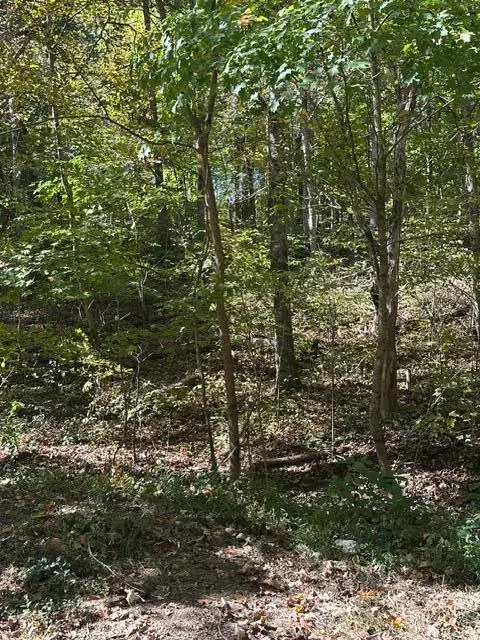 lot 1 & 2 Anderson Bend, Russellville, TN 37860 - #1