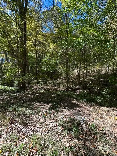 lot 1 & 2 Anderson Bend, Russellville, TN 37860 - #3