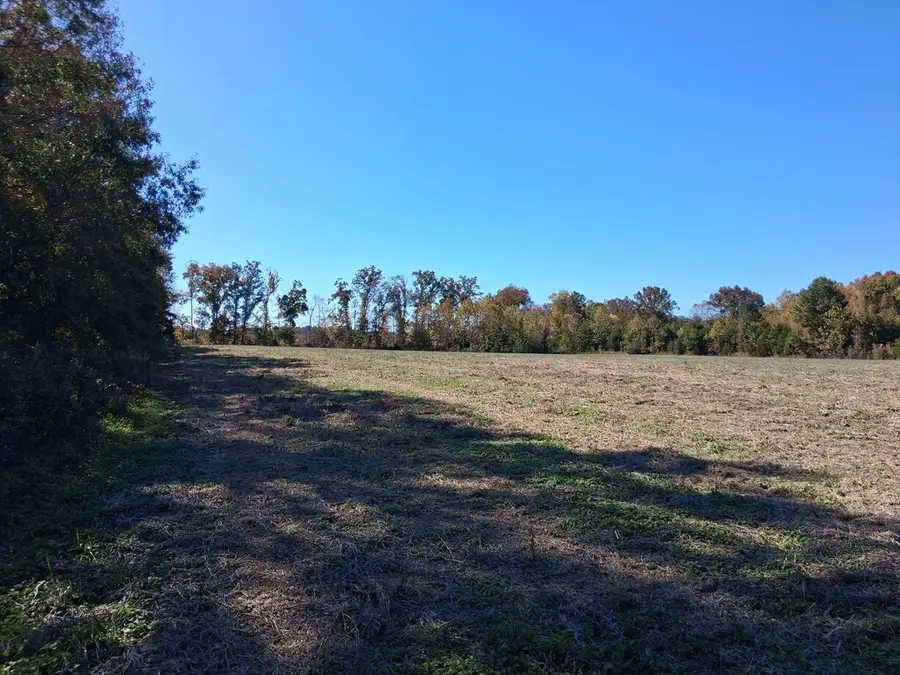 1445 Tennessee 160, Bybee, TN 37713 - #2
