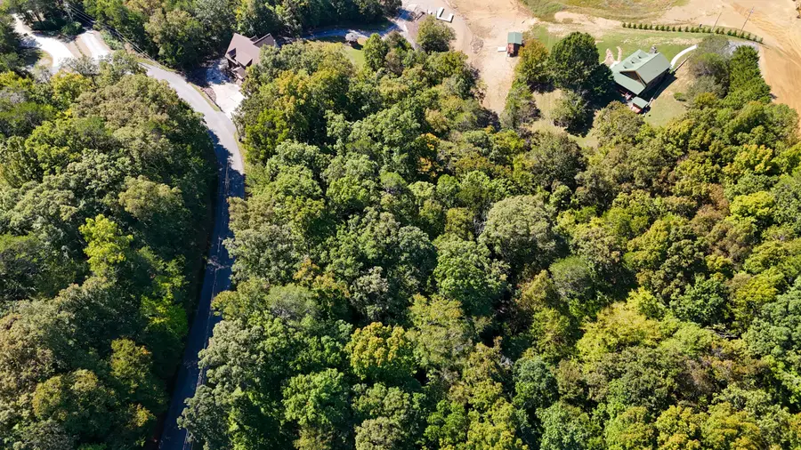 Lot 910 Stoneway Court, Baneberry, TN 37890 - #3