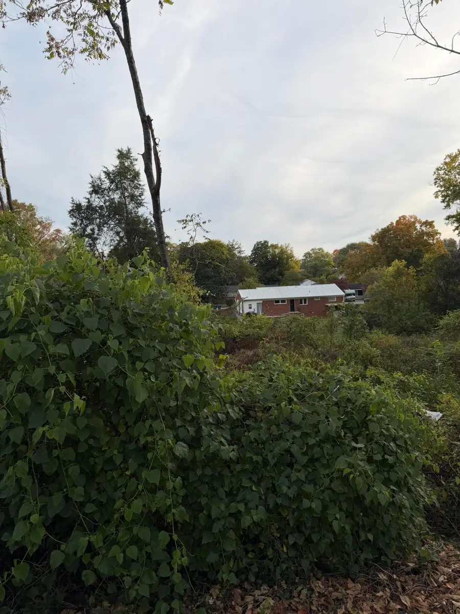 - Mountcastle Street, Jefferson City, TN 37760 - #3