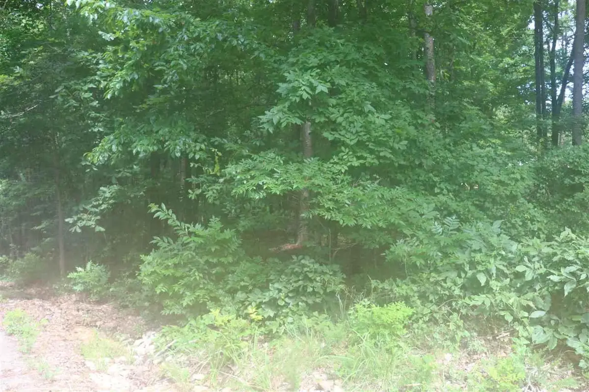 YMCA S MUSCATEL & YMCA LN, Counce, TN 38326 - Image #1