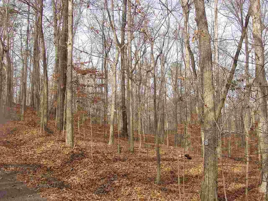 YMCA S MUSCATEL & YMCA LN, Counce, TN 38326 - Image #3