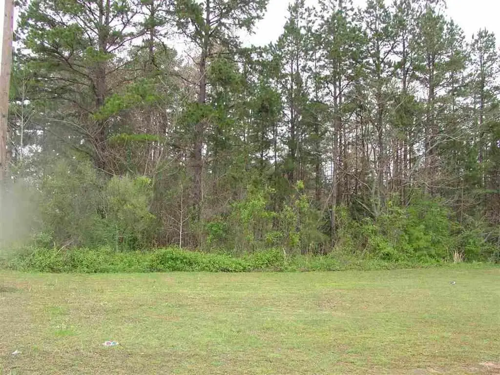 10785 HWY 57 HWY, Counce, TN 38326-3621 - Image #1