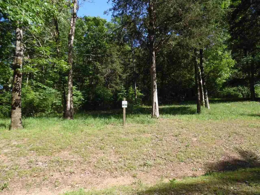 0 ADAM LOOP, Bath Springs, TN 38311 - Image #2