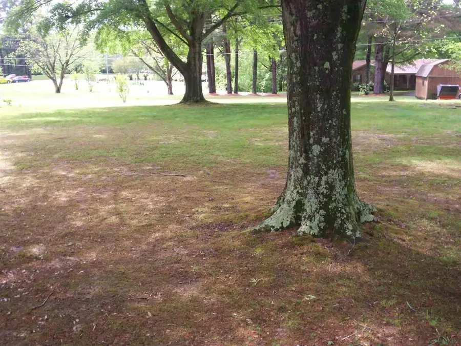 0 JAMES ST, Bolivar, TN 38008 - Image #2