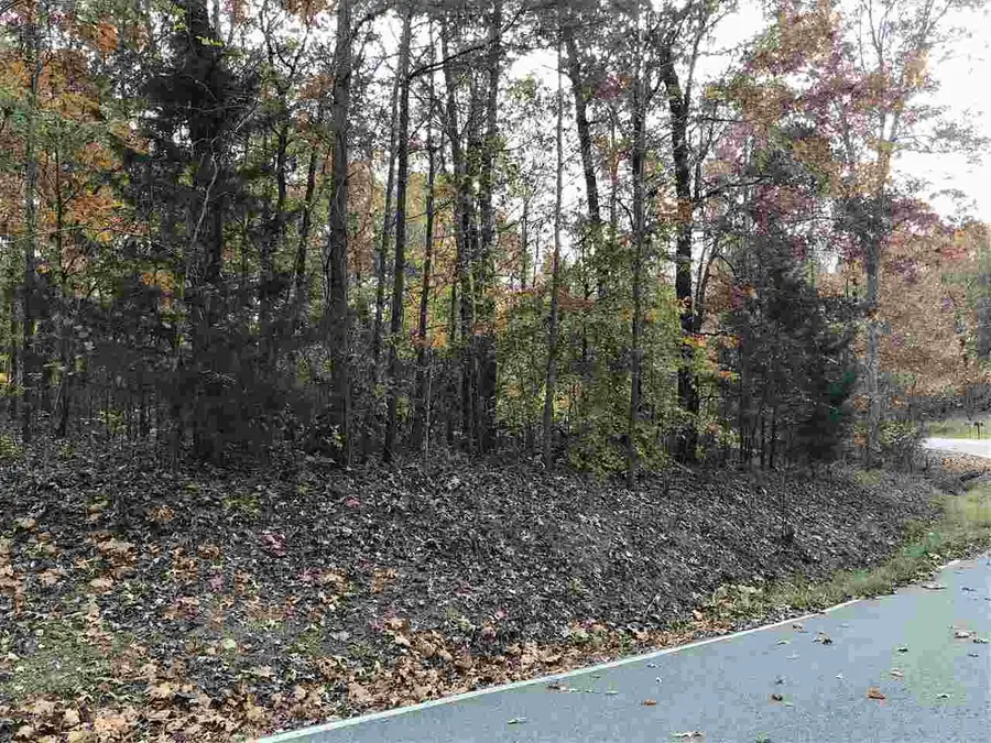 20 COUNTRY WOODS DR, Selmer, TN 38375 - Image #3