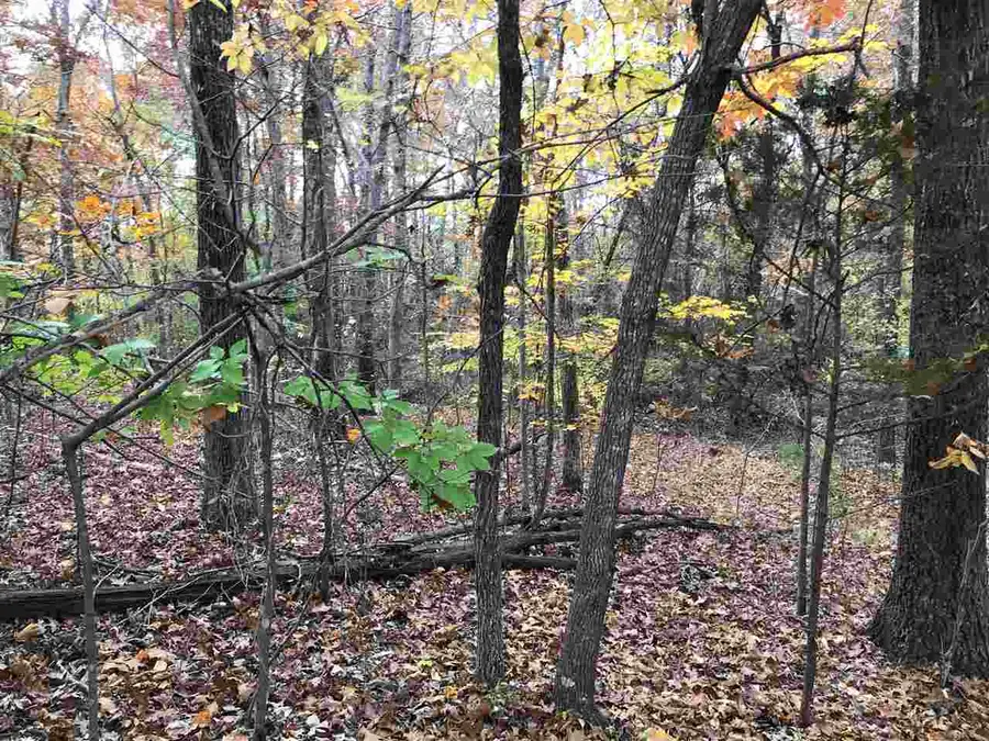 12 COUNTRY WOODS DR, Selmer, TN 38375 - Image #2