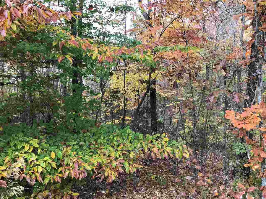 12 COUNTRY WOODS DR, Selmer, TN 38375 - Image #3