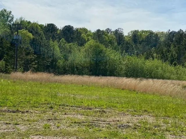 00 MULBERRY AVE, Selmer, TN 38375 - Image #2