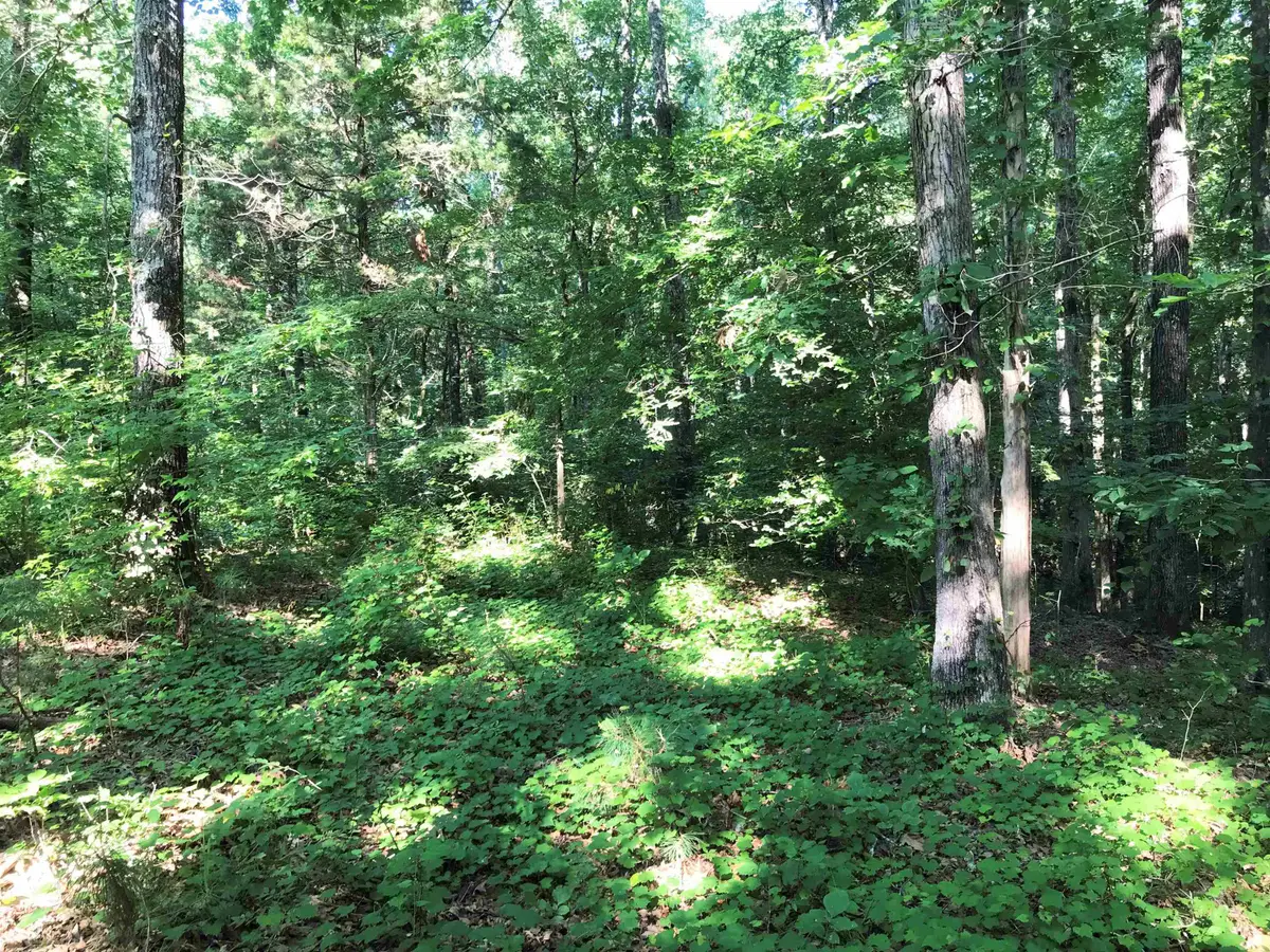 HWY 142/KIMBERLY LN, Counce, TN 38326 - Image #1