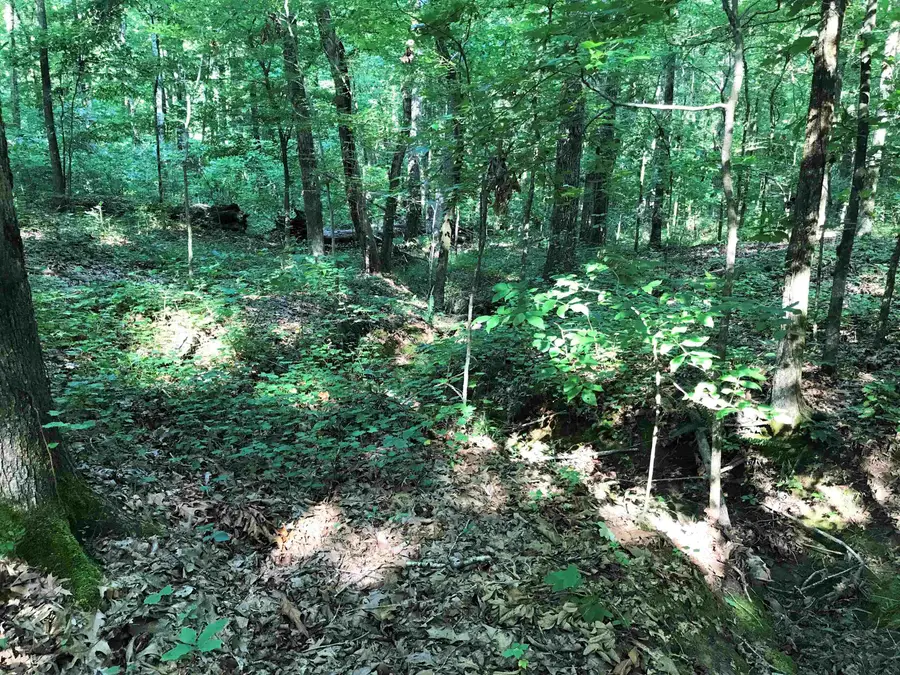 HWY 142/KIMBERLY LN, Counce, TN 38326 - Image #2