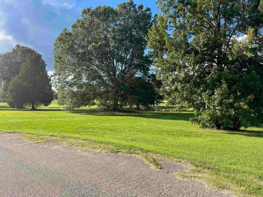 0 GRANDVIEW CIR, Adamsville, TN 38310 - Image #3