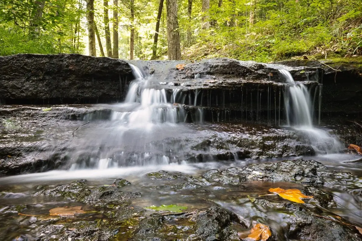 208 KRO HOLLOW RD RD, Hohenwald, TN 38462 - Image #1