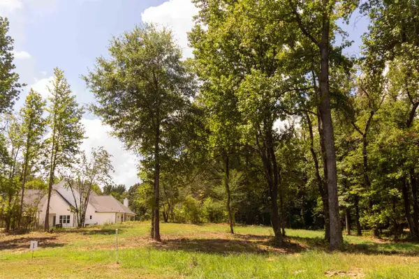 50 CROWN VISTA LN, Piperton, TN 38017