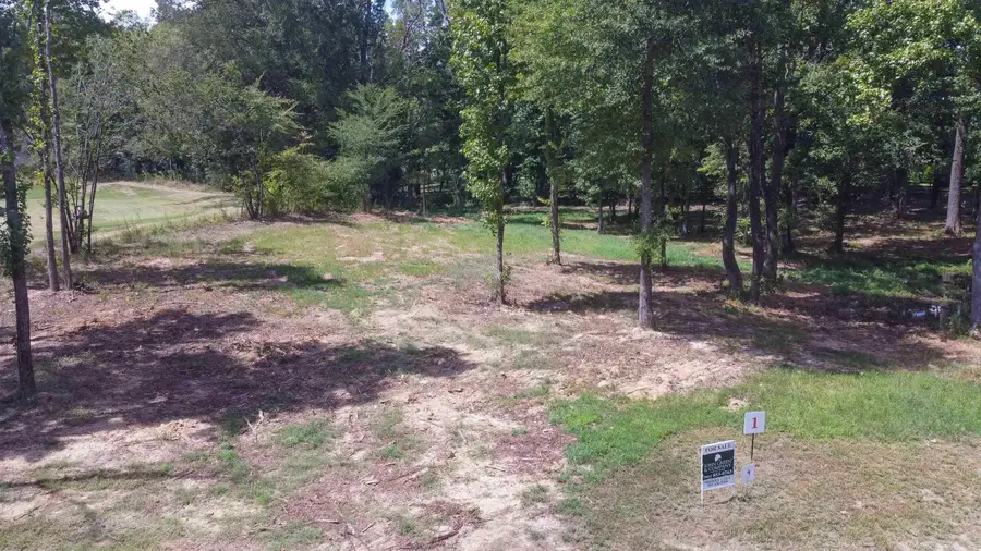 50 CROWN VISTA LN, Piperton, TN 38017 - Image #2