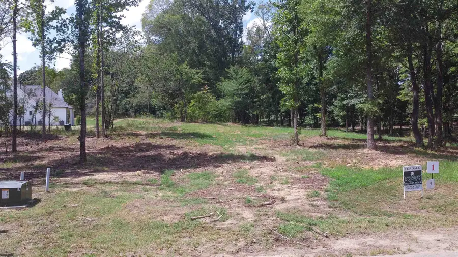 50 CROWN VISTA LN, Piperton, TN 38017 - Image #3