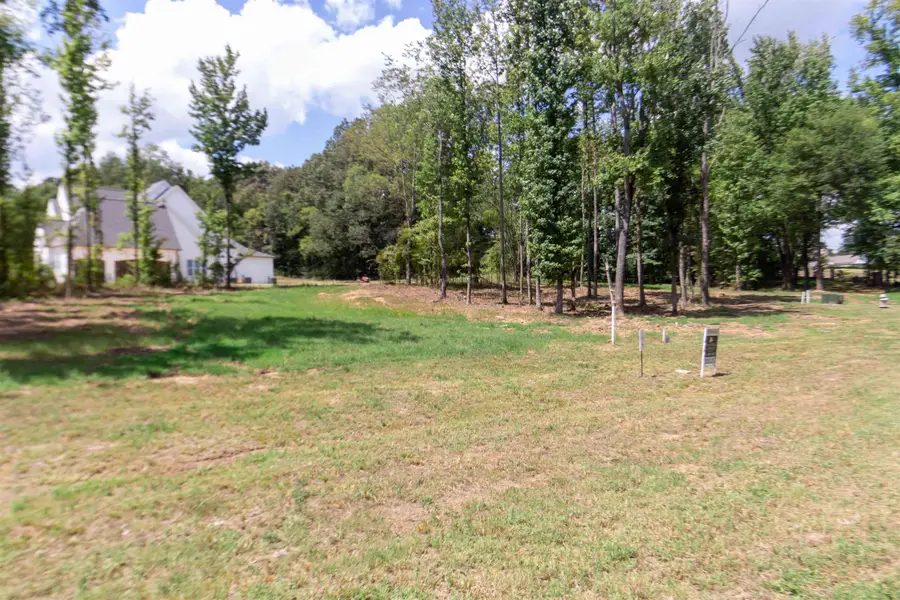 110 CROWN VISTA CV, Piperton, TN 38017 - Image #2