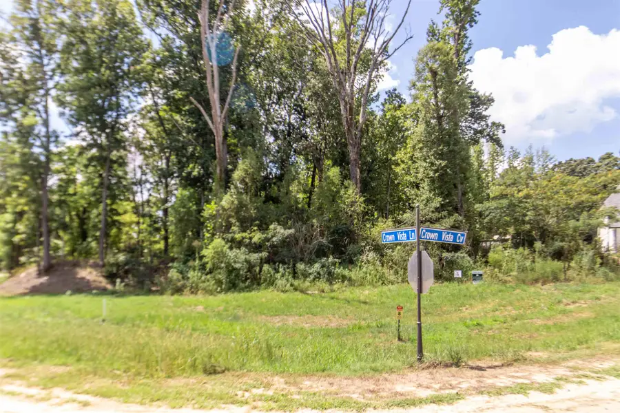 150 CROWN VISTA CV, Piperton, TN 38017 - Image #2