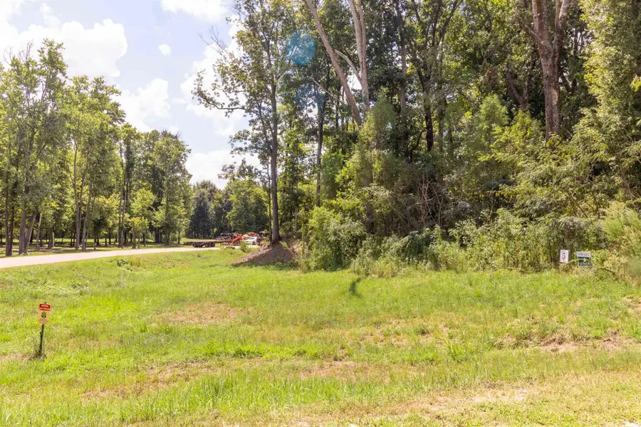 150 CROWN VISTA CV, Piperton, TN 38017 - Image #3