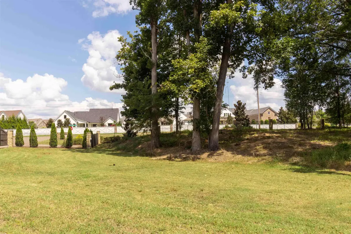 55 CROWN VISTA LN, Piperton, TN 38017 - Image #1