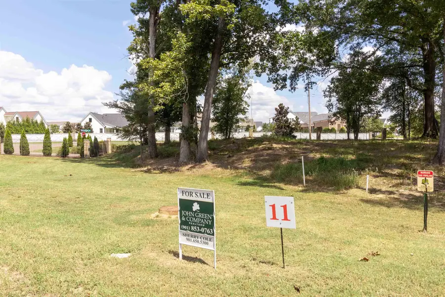 55 CROWN VISTA LN, Piperton, TN 38017 - Image #2