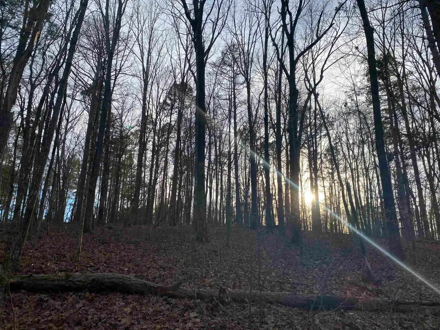 0 BRUTON BRANCH RD, Savannah, TN 38372 - Image #2