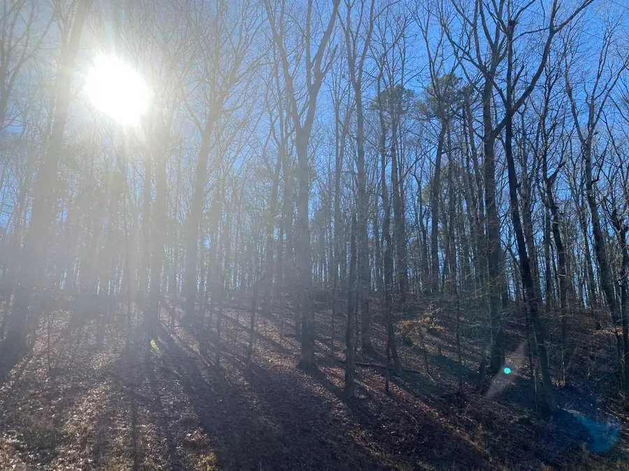 0 BRUTON BRANCH RD, Savannah, TN 38372 - Image #3