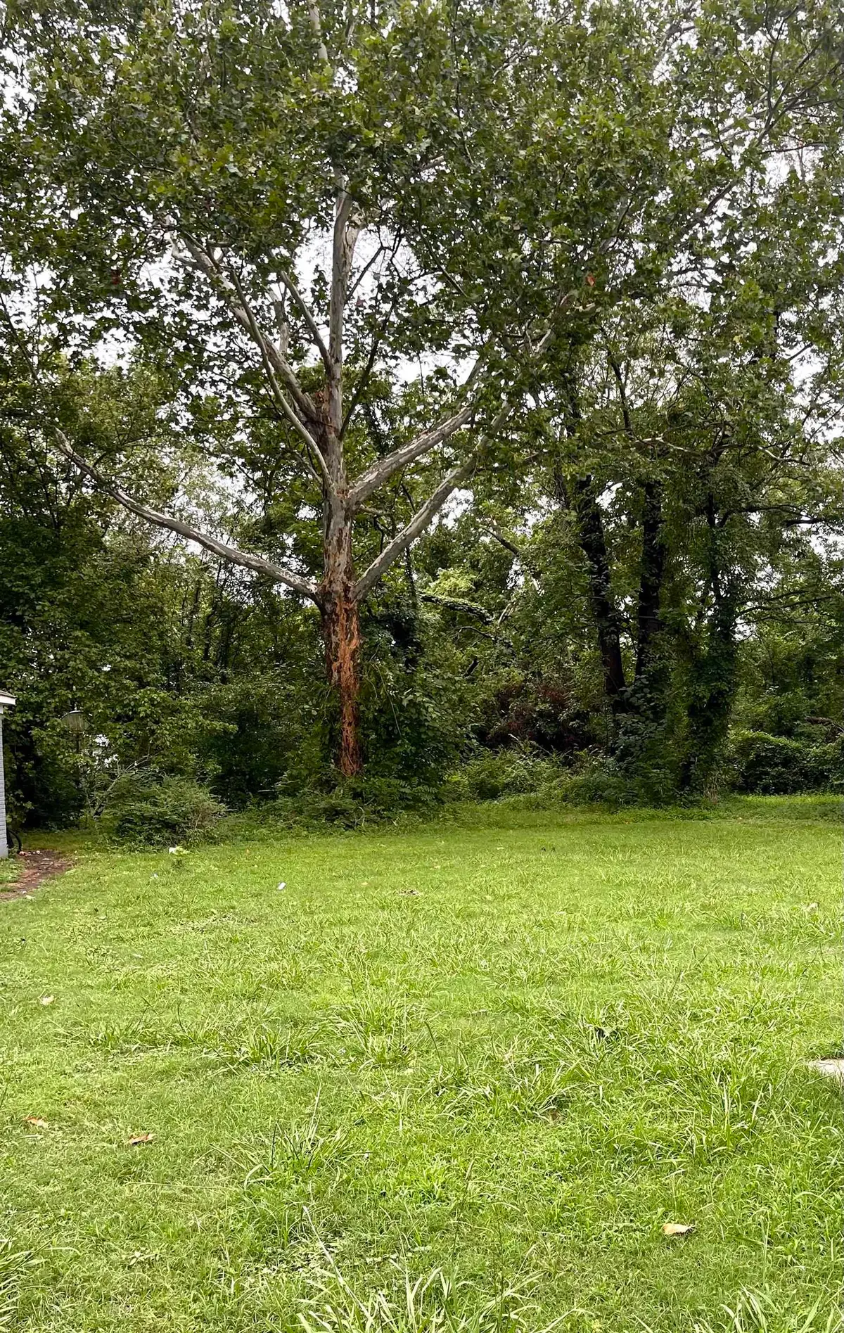 1495 N TREZEVANT ST, Memphis, TN 38108 - Image #1