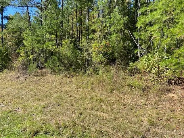 00 142 HWY, Shiloh, TN 38376 - Image #2