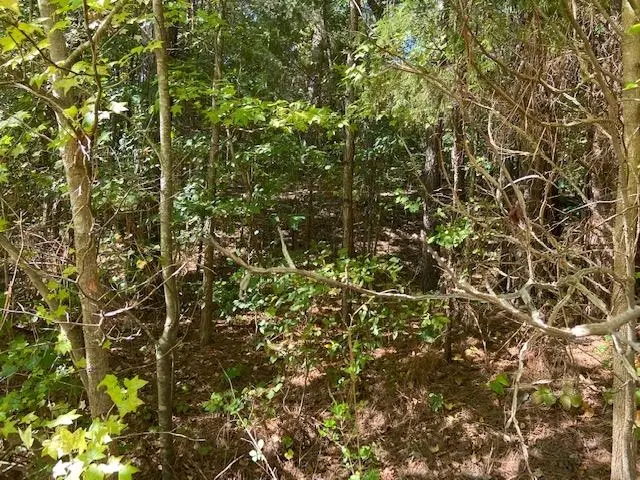 00 142 HWY, Shiloh, TN 38376 - Image #3