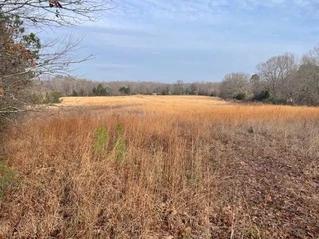 REAVES RD, Middleton, TN 38052 - Image #1