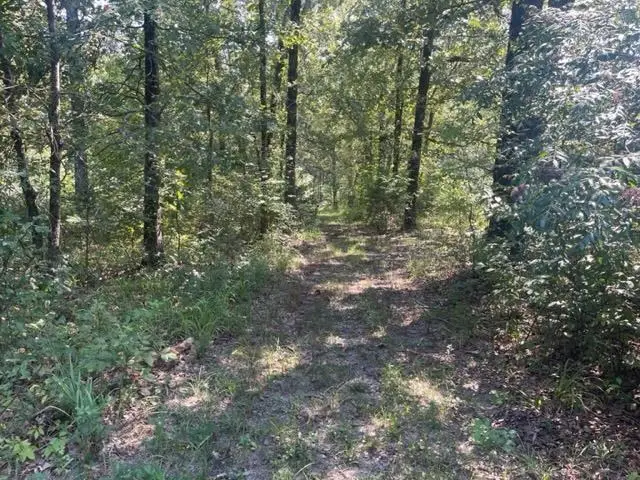 21810 HIGHWAY 125 HWY, Bolivar, TN 38002 - Image #1