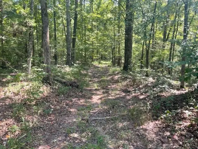 21810 HIGHWAY 125 HWY, Bolivar, TN 38002 - Image #2